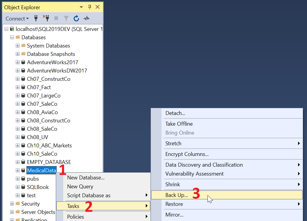 Creating a Binary Backup of a Database