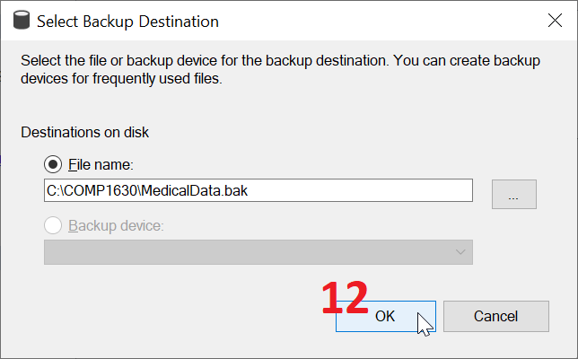 Creating a Binary Backup of a Database